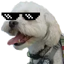 Cool Live Captions icon